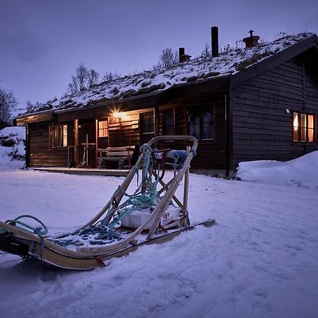Cabin Huskyfarm Innset Luaran gambar